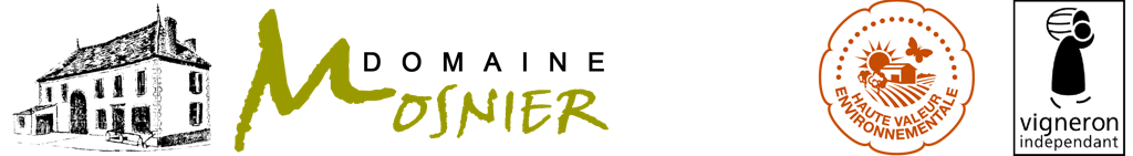 SARL SYLVAIN MOSNIER Logo