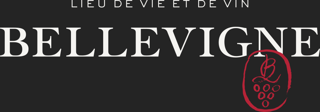 SH CHAMBOLLE Logo