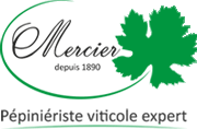 MERCIER FRERES Logo