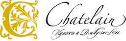 DOMAINE CHATELAIN Logo