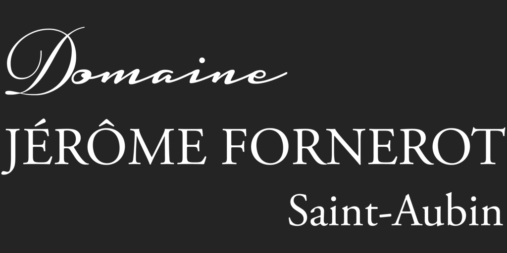 FORNEROT JEROME Logo