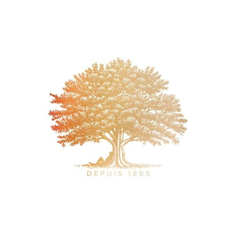SAS DOUSSOUX BAILLIF Logo